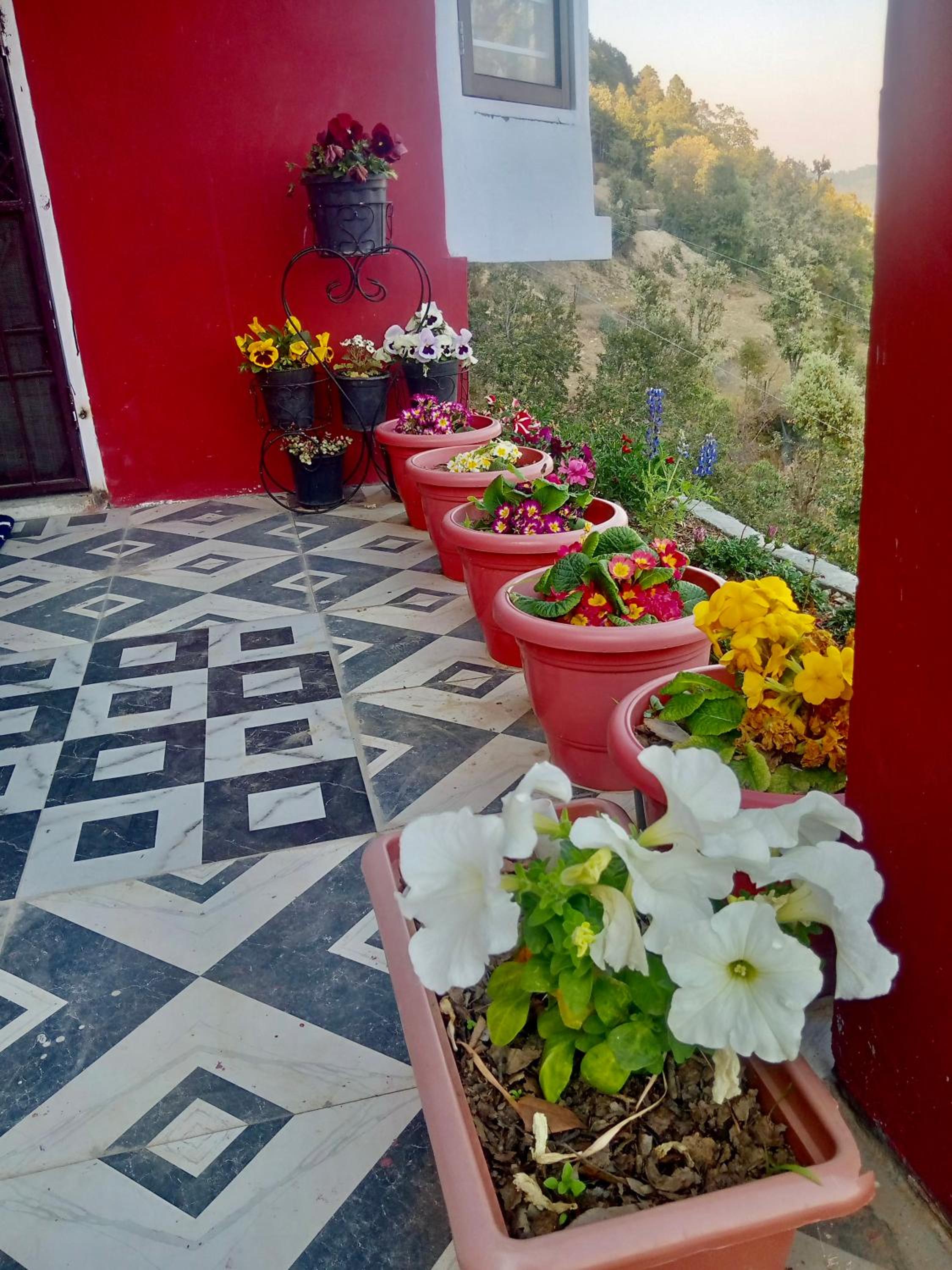 EcoEscape Mukteshwar