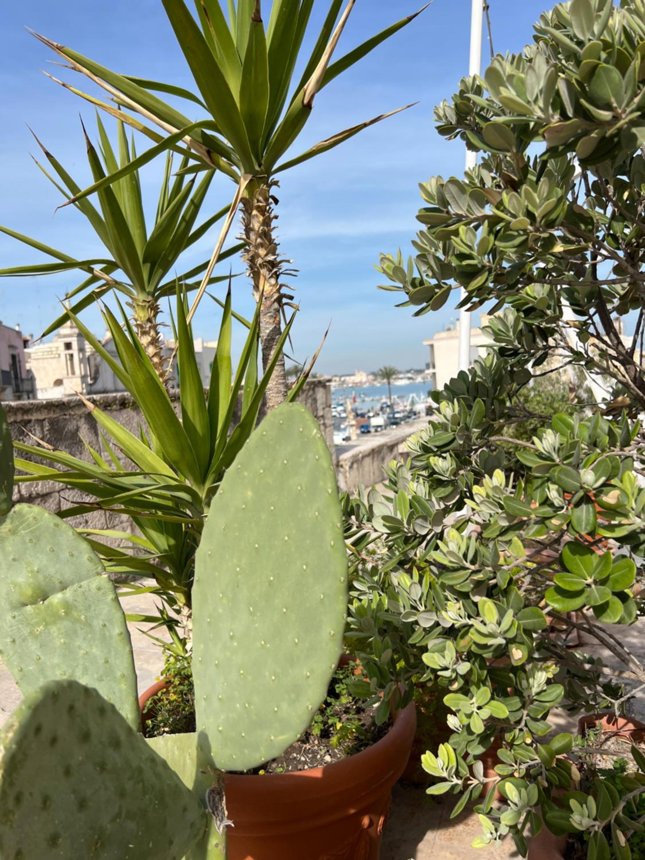 LA DIMORA casa vacanze di charme