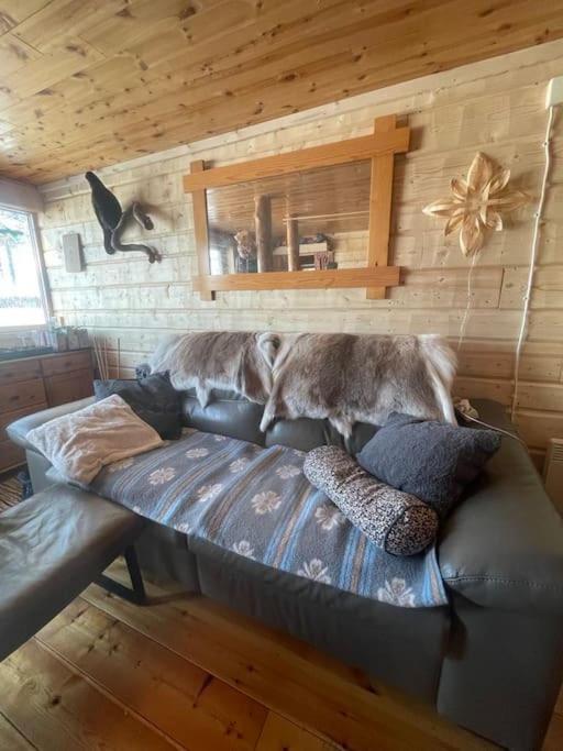 the off grid wilderness cabins view 5