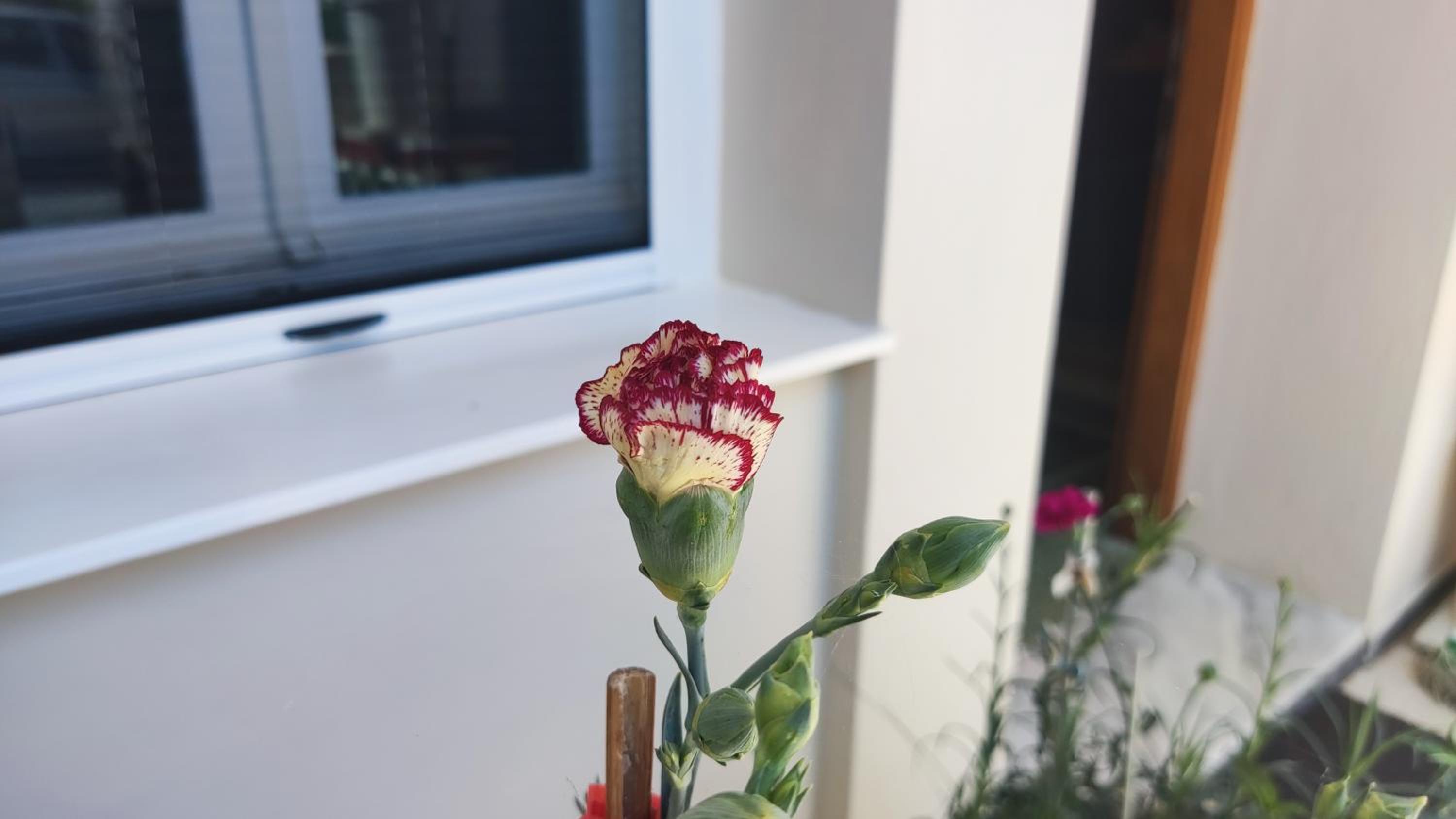 Nikol's apartment view 4