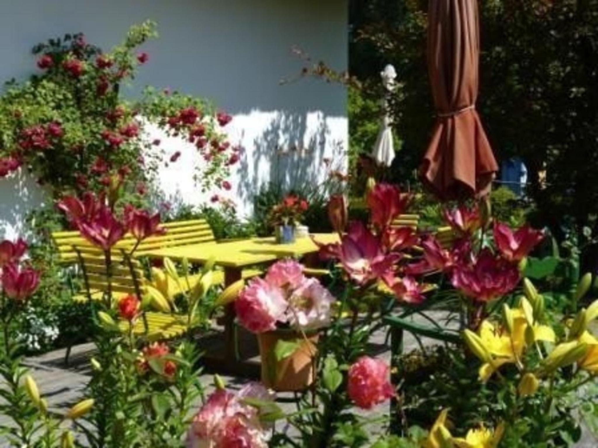 Nette Wohnung in Althagen mit Terrasse