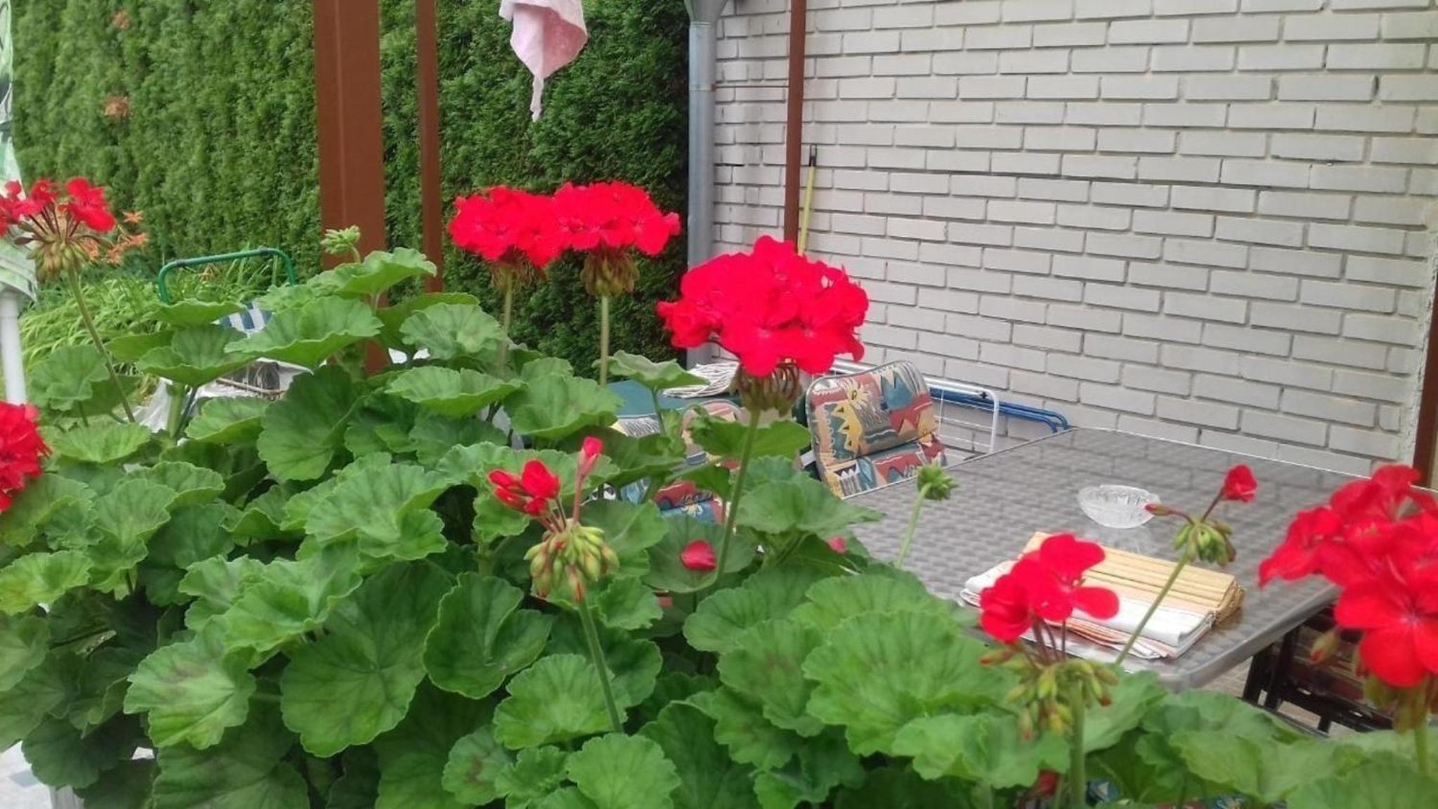 Klimatisiertes Ferienhaus in Bükfürdö mit Garten