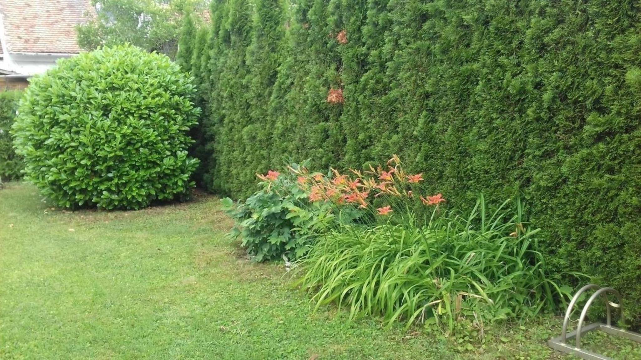 Klimatisiertes Ferienhaus in Bükfürdö mit Garten