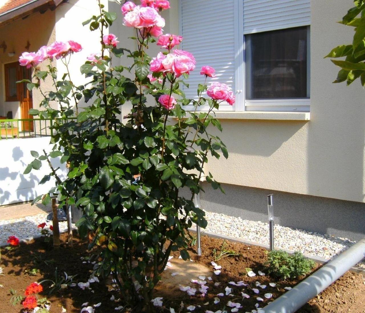 Klimatisiertes Ferienhaus in Bükfürdö mit Garten