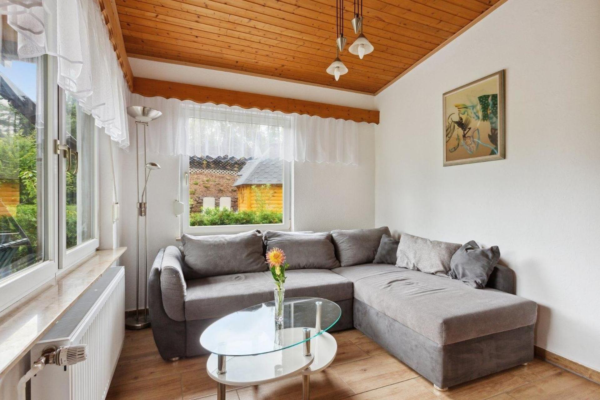 Ferienhaus mit naturnahen Badeteich