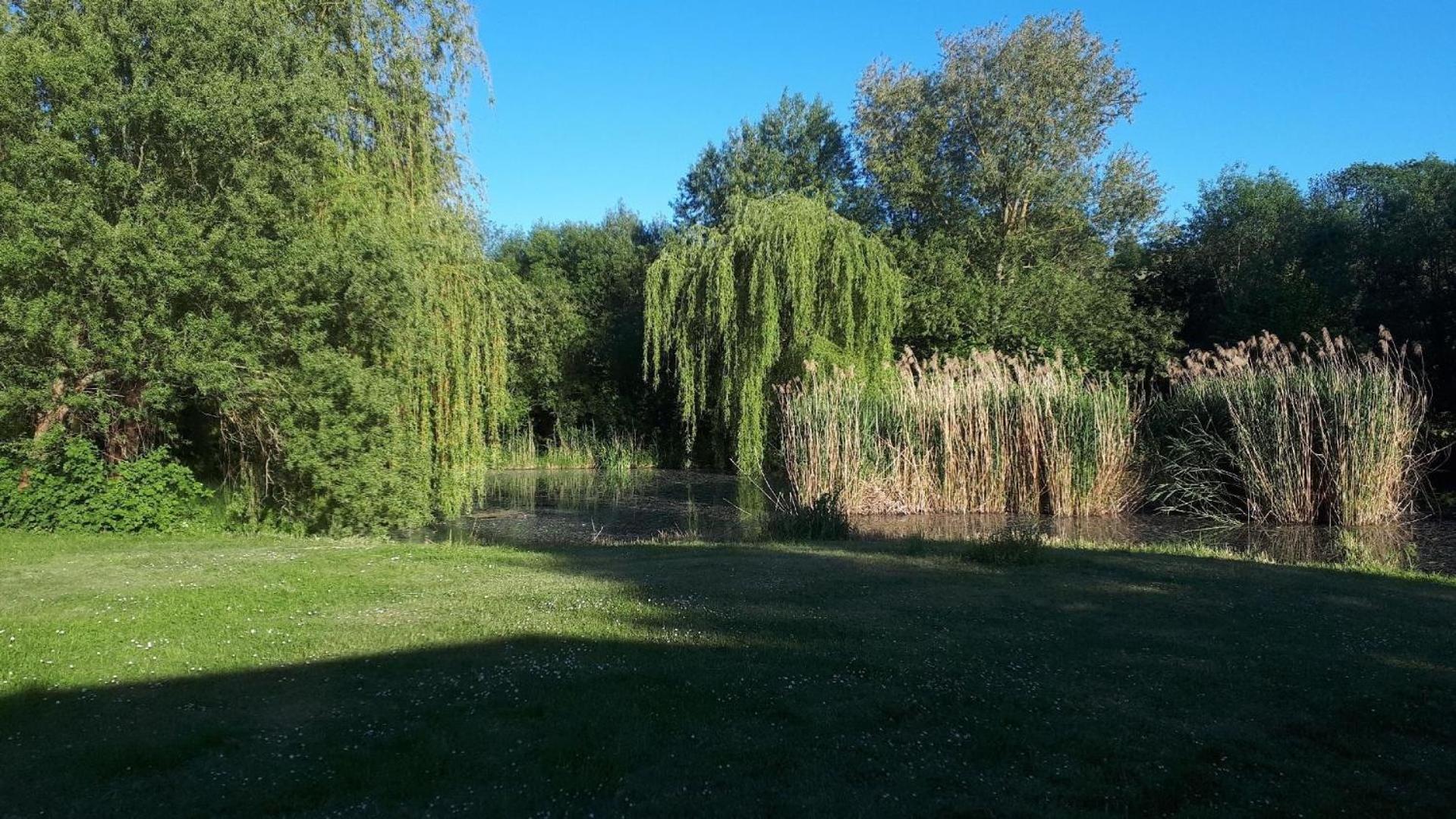 Ferienhaus mit naturnahen Badeteich