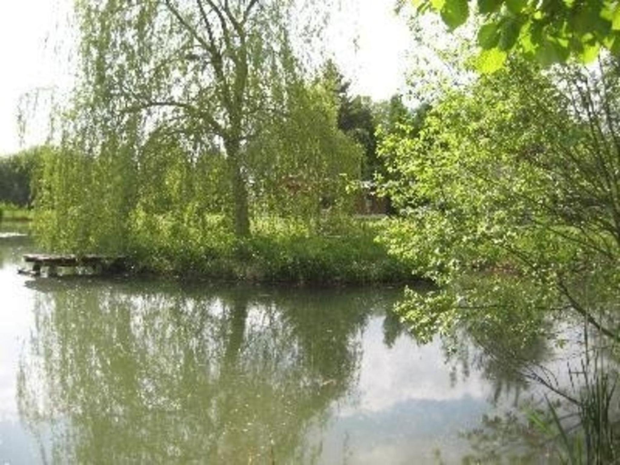 Ferienhaus mit naturnahen Badeteich