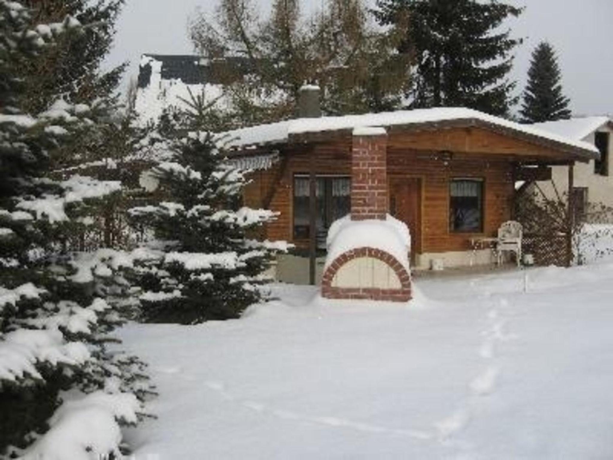 Ferienhaus mit naturnahen Badeteich