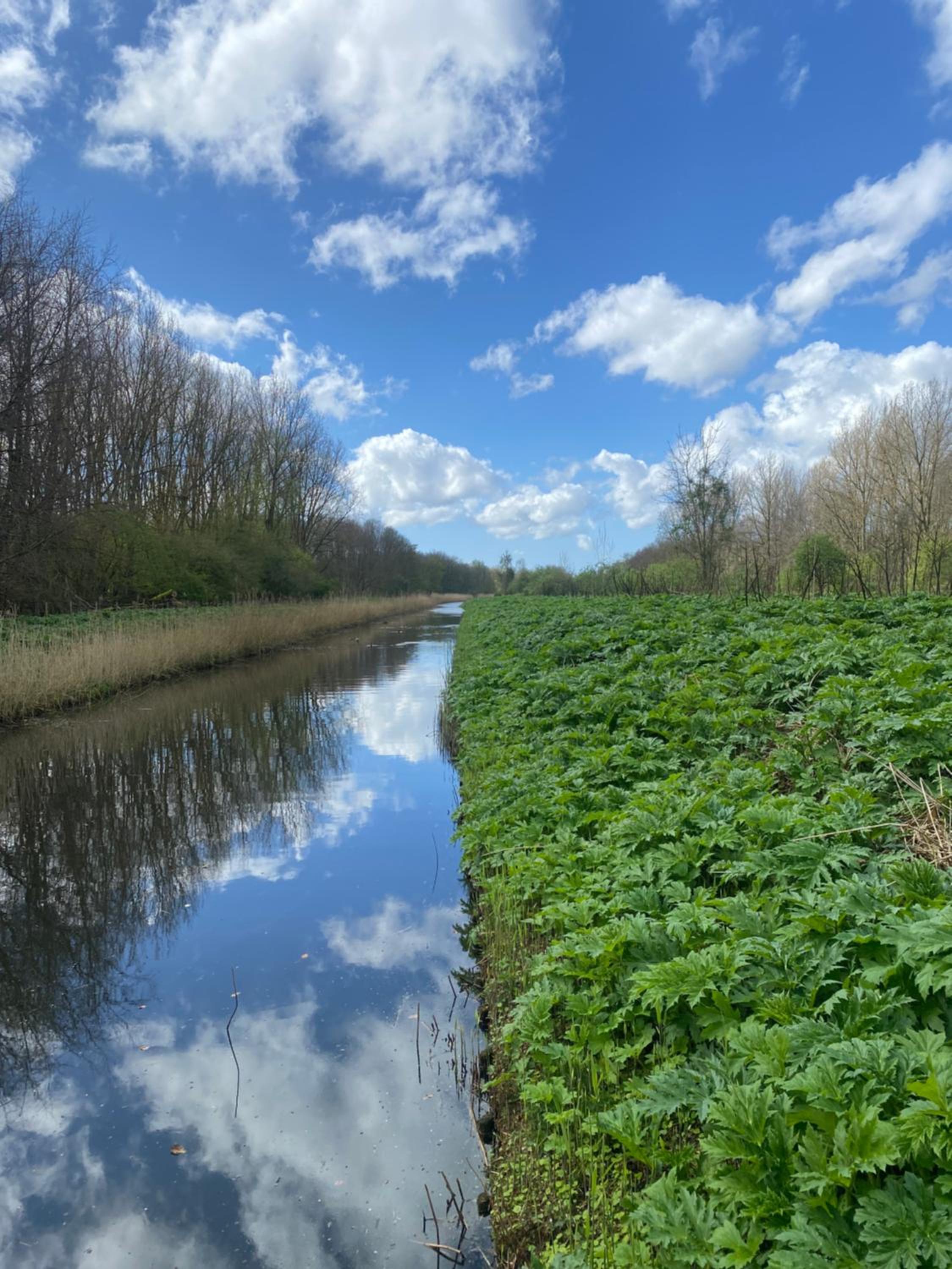 Ecolodge Almere