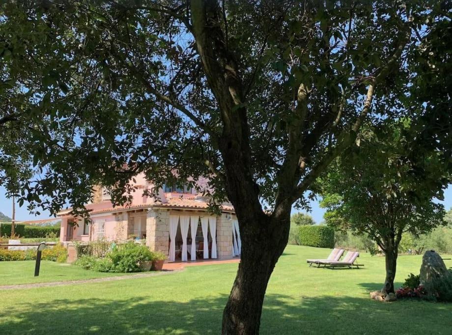 Villa Mariachiara - L'oasi verde view 2