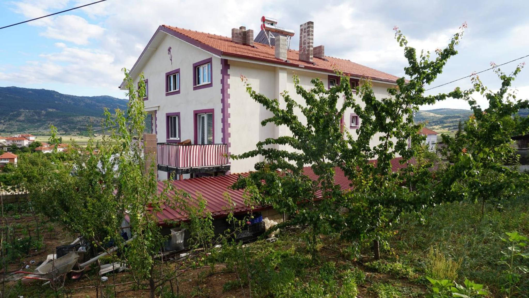 Photo 19