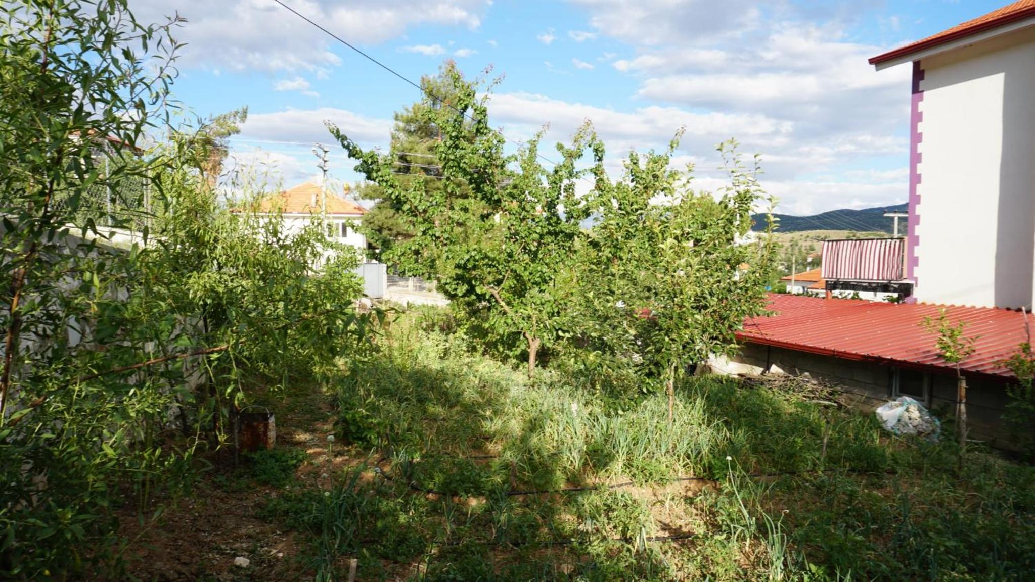 Photo 48