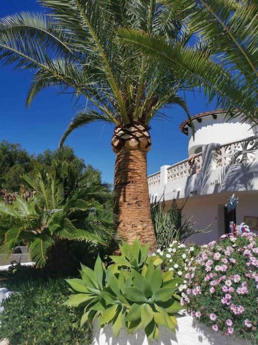 Villa with spectacular vieuw and swimmingpool.