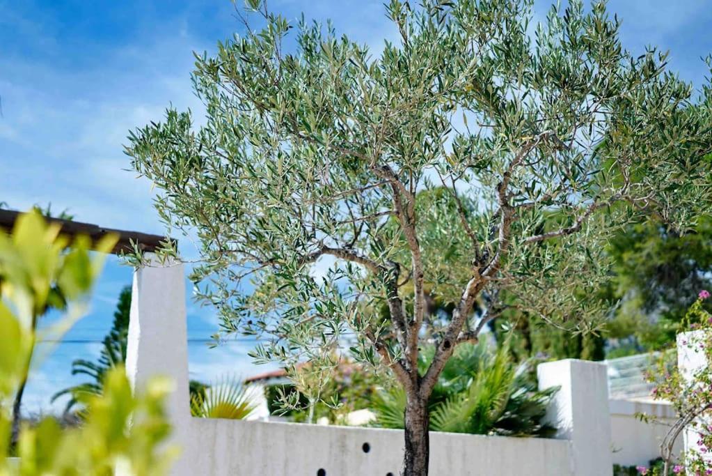Villa with spectacular vieuw and swimmingpool.