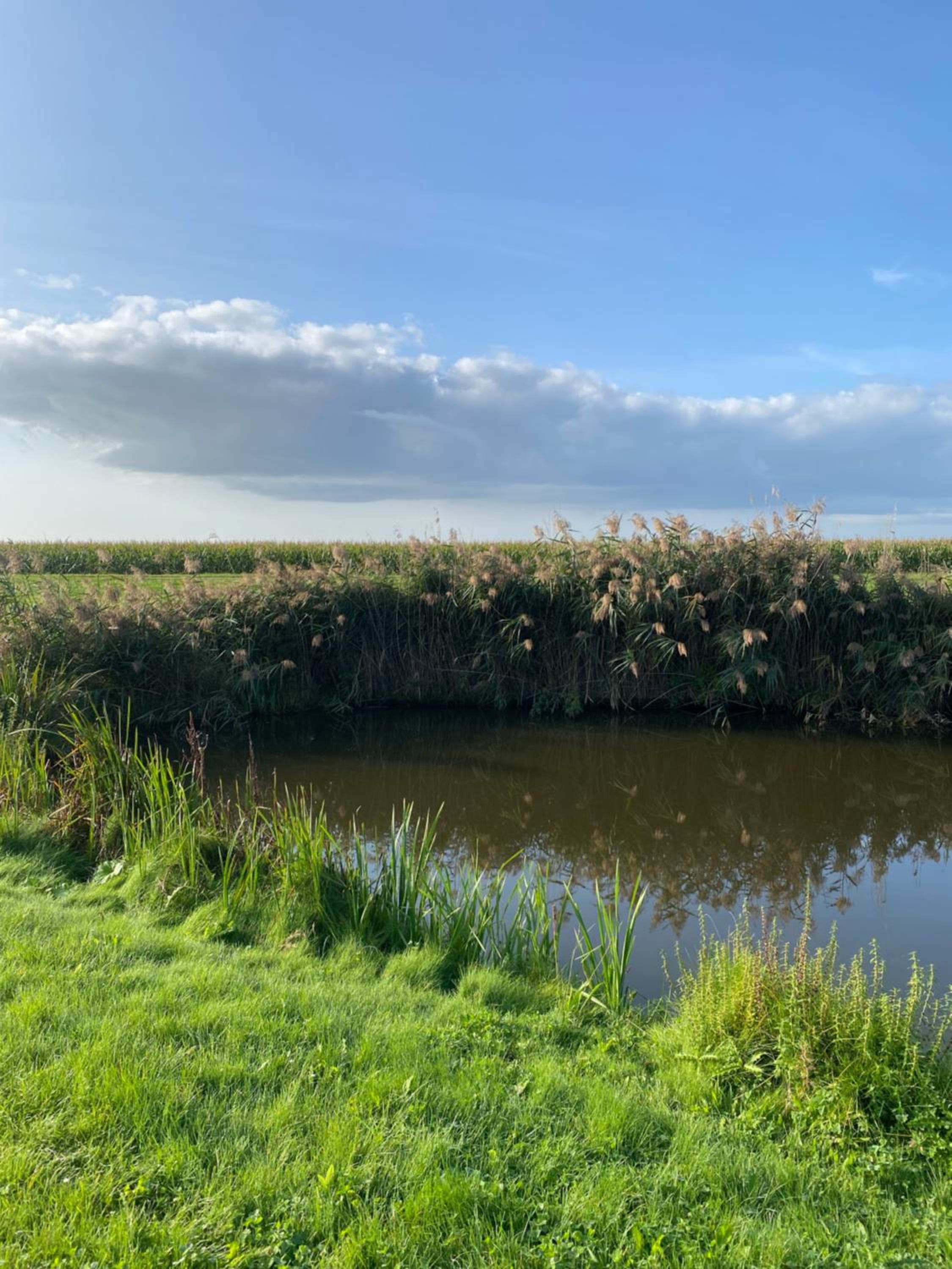 Ecolodge Almere