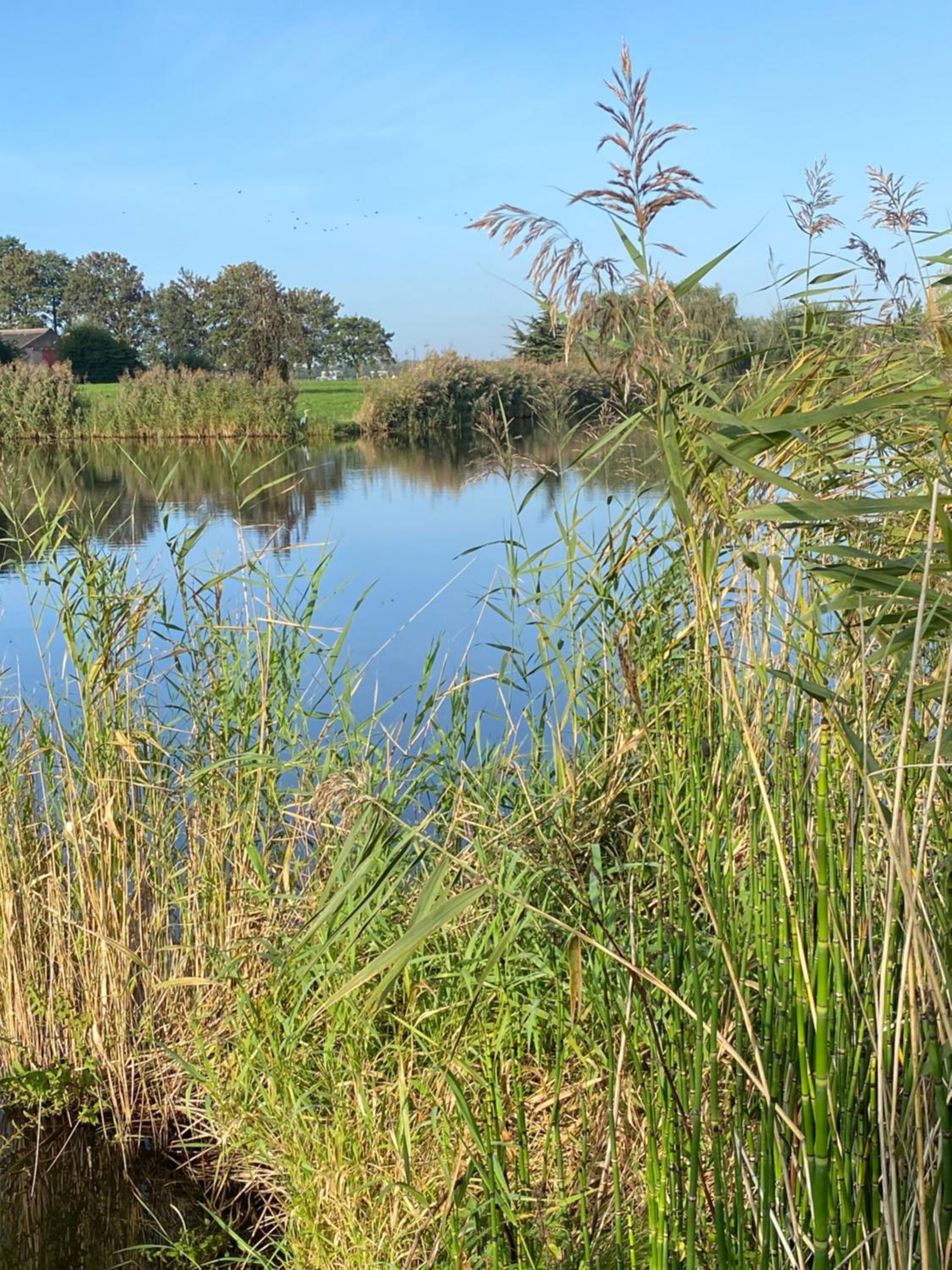 Ecolodge Almere