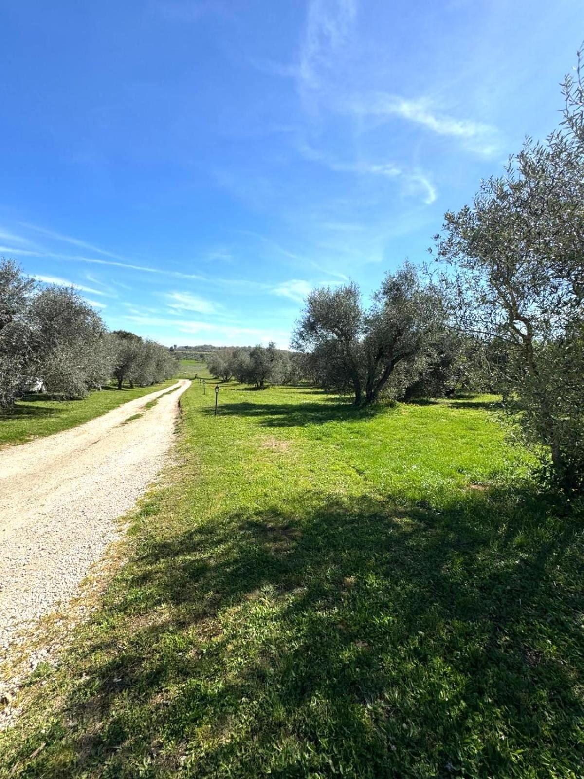 Agriturismo Poggio Degli Ulivi