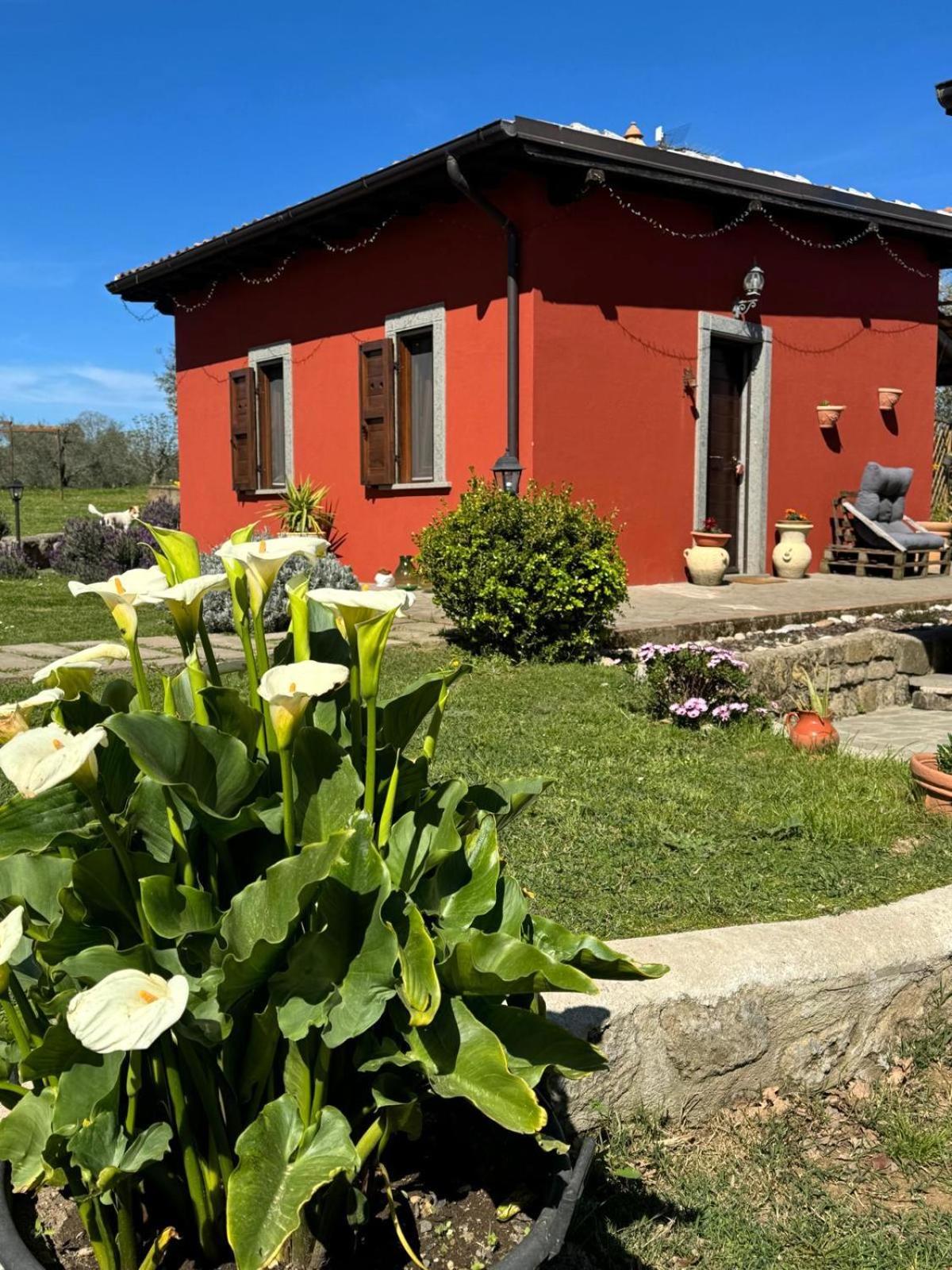 Agriturismo Poggio Degli Ulivi