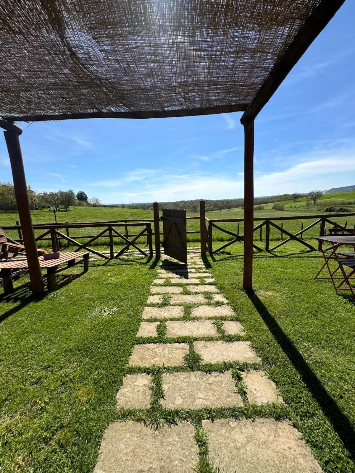 Agriturismo Poggio Degli Ulivi