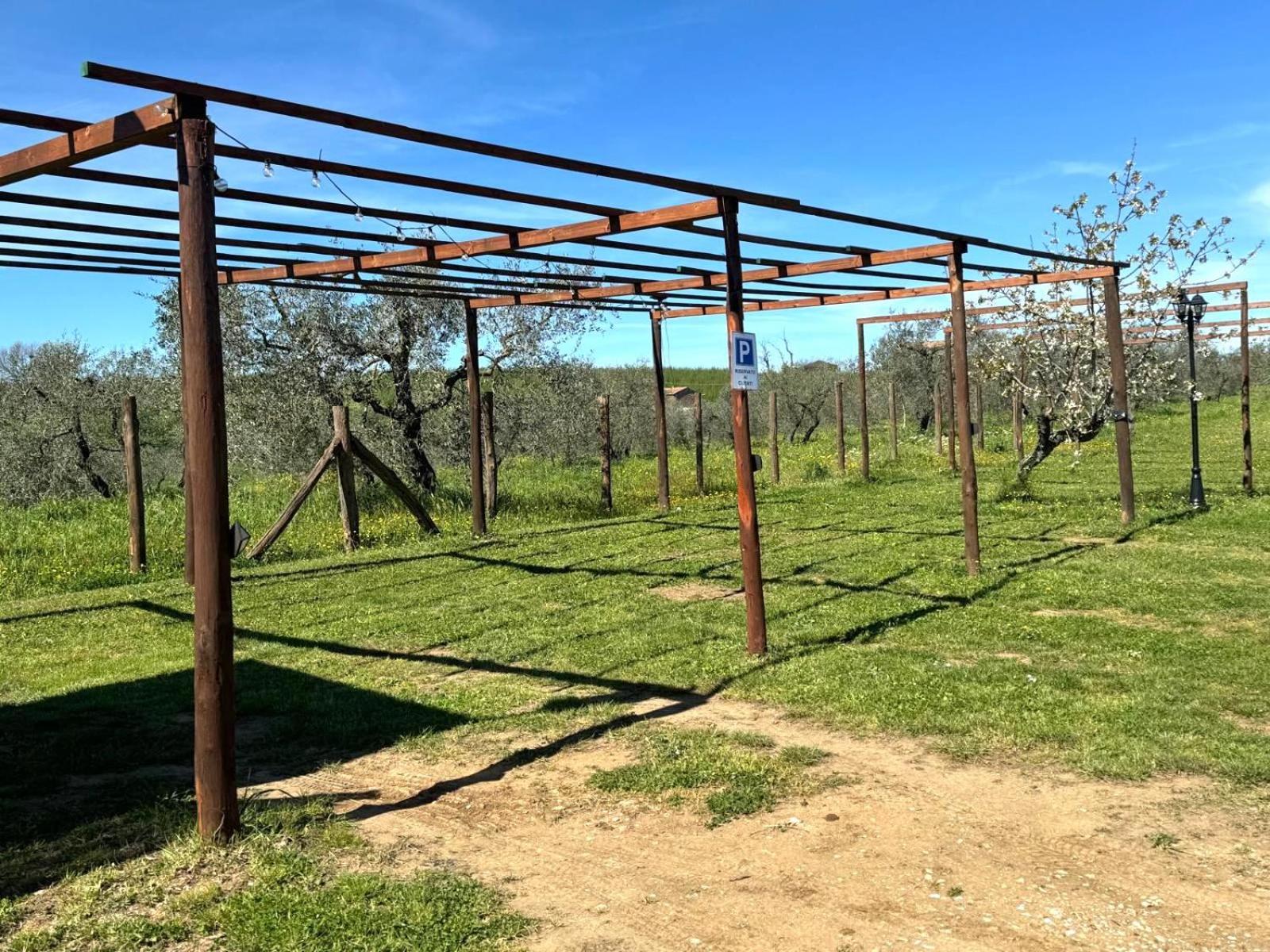 Agriturismo Poggio Degli Ulivi