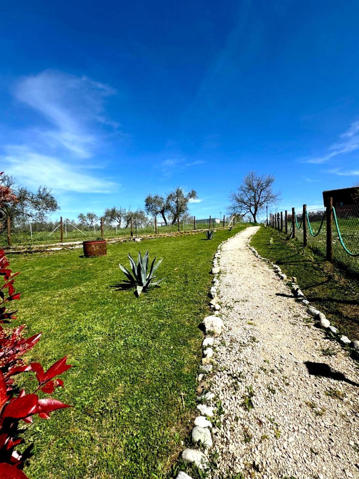 Agriturismo Poggio Degli Ulivi