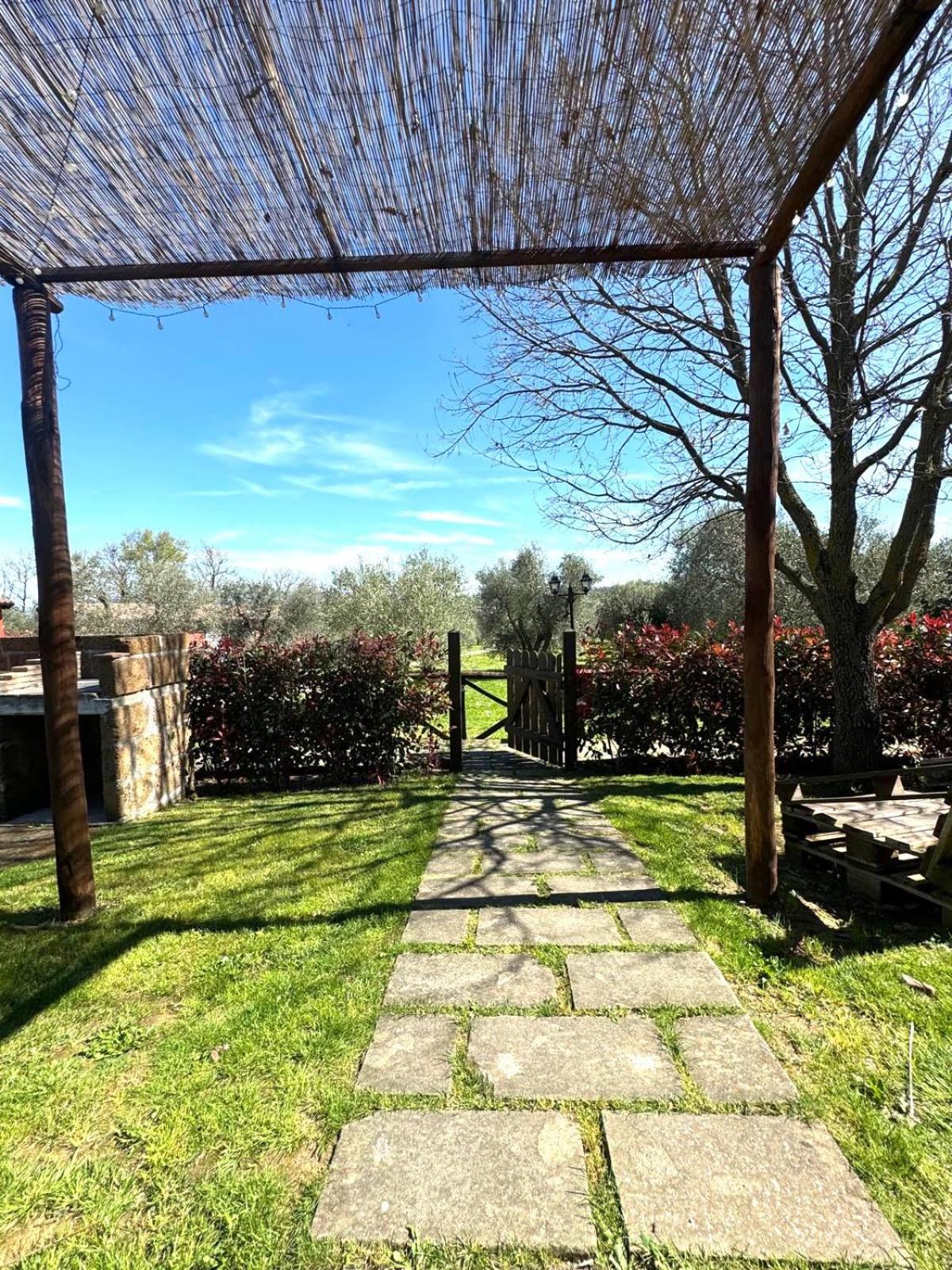Agriturismo Poggio Degli Ulivi
