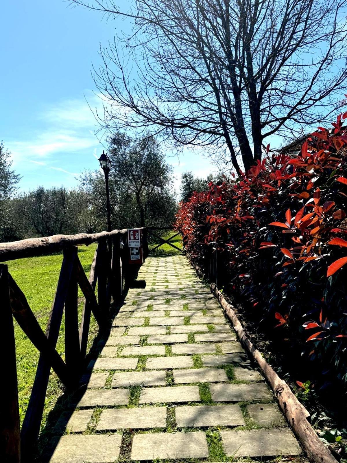 Agriturismo Poggio Degli Ulivi