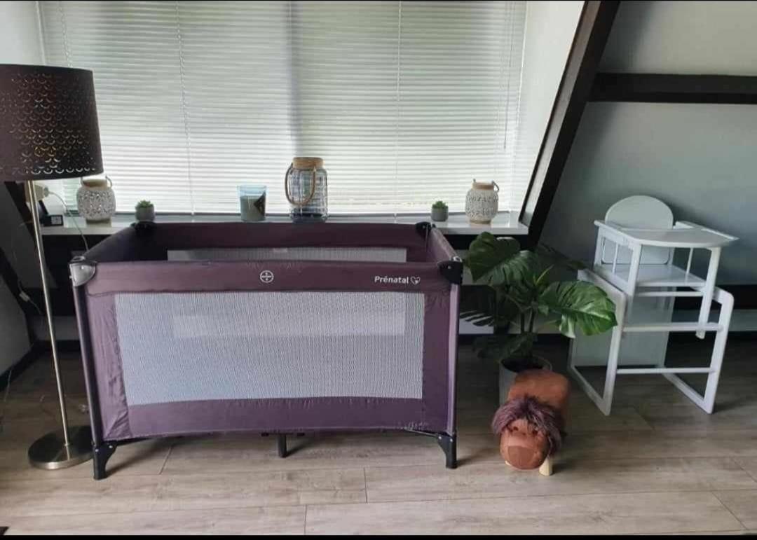 Villa Edice met zwembad en restaurant in Durbuy - honden toegelaten