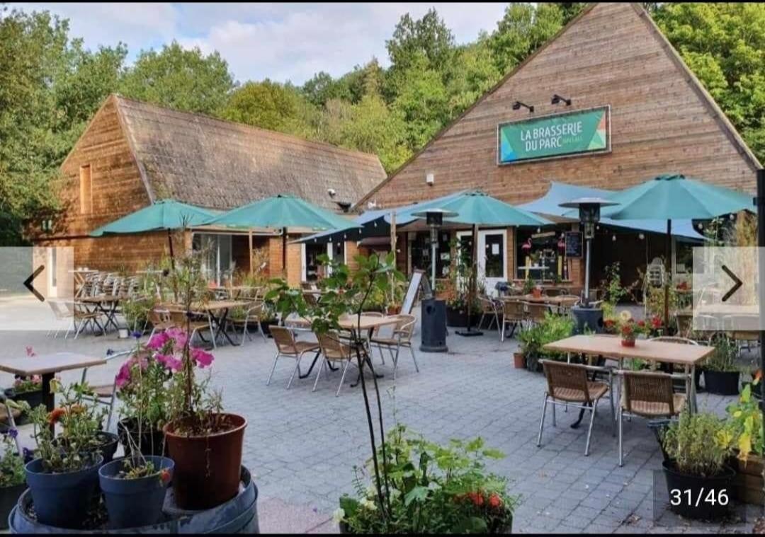 Villa Edice met zwembad en restaurant in Durbuy - honden toegelaten
