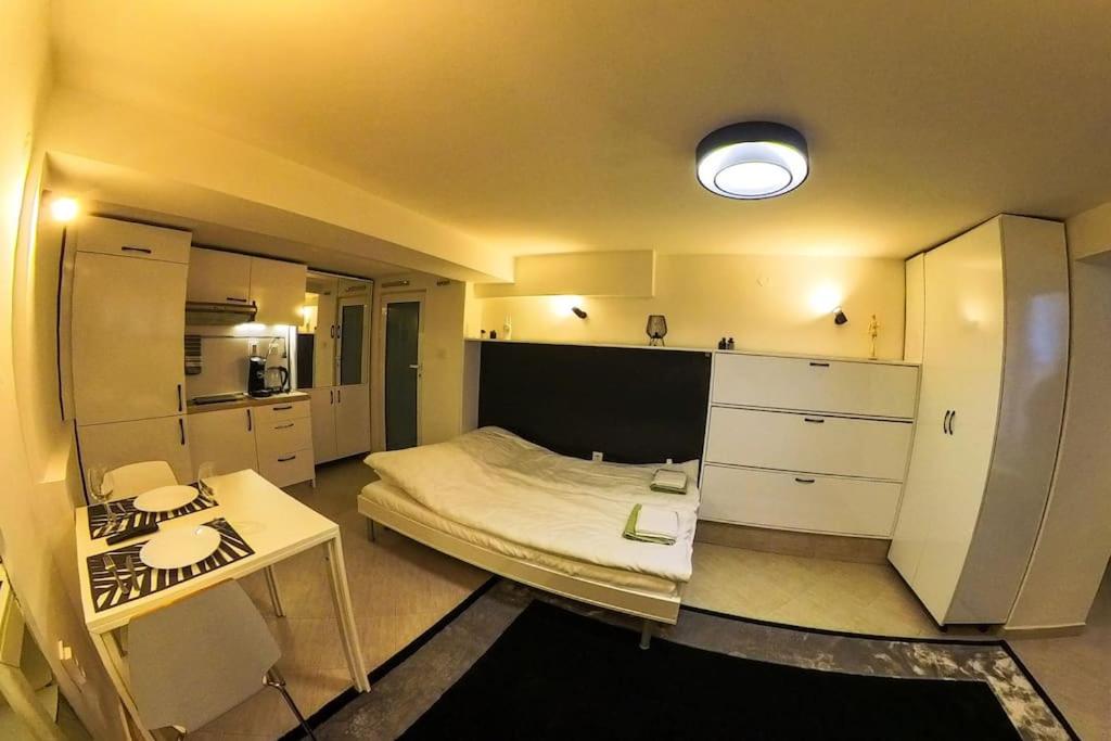 Studio with Courtyard Just Steps Away Vitosha Str