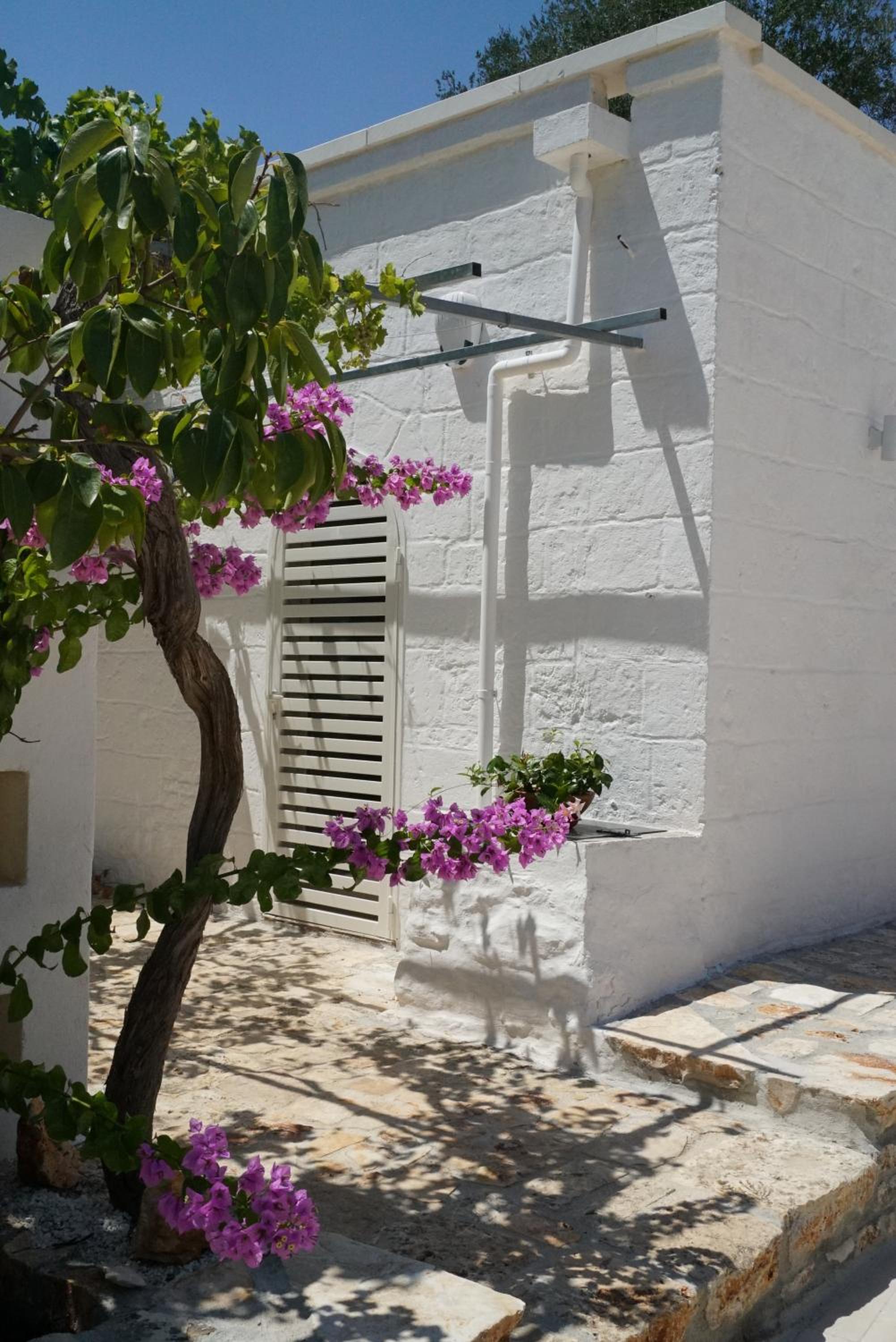 Trullo Starbax