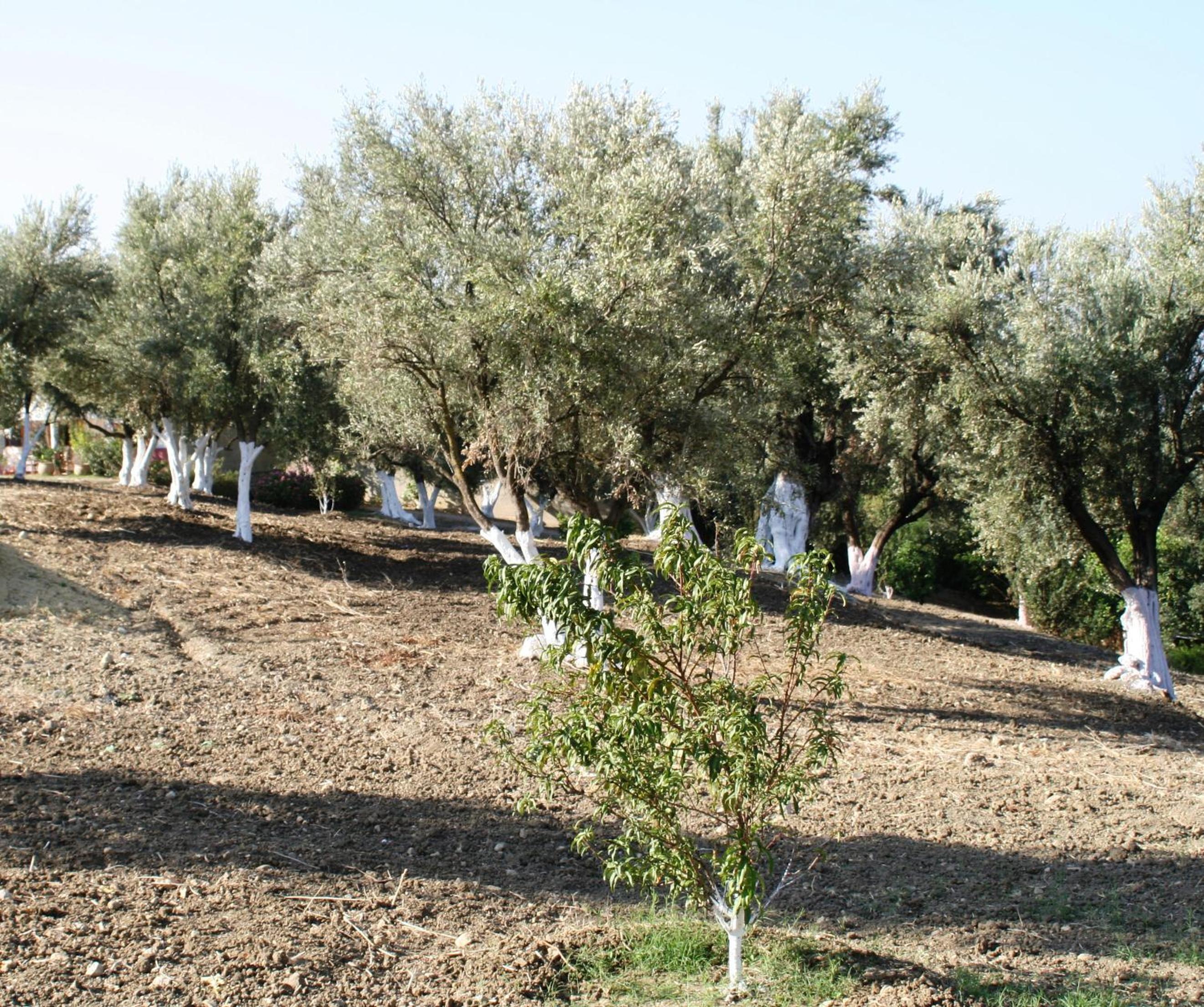 Domaine des Sloughis