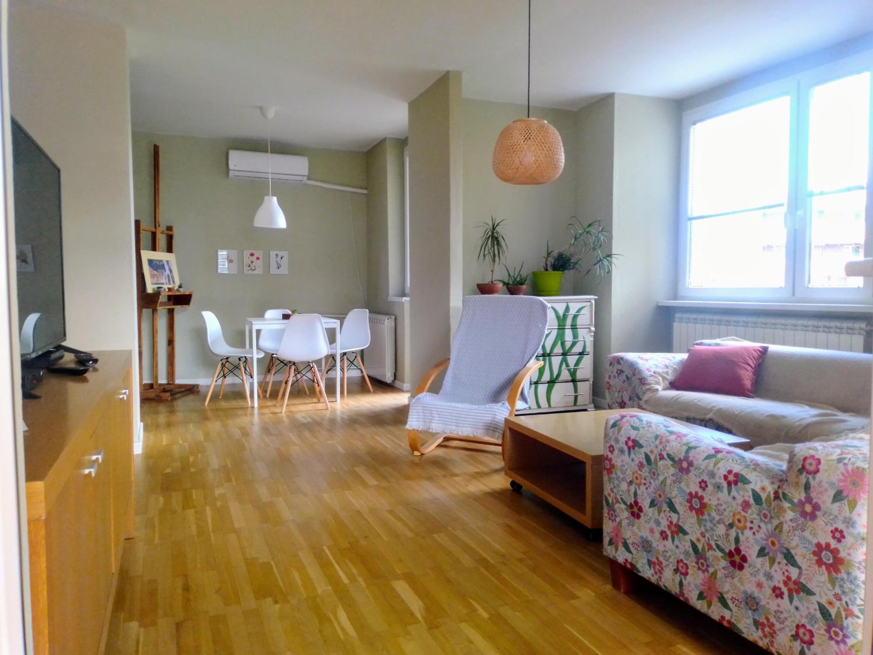 Sunny Center Apartment view 2