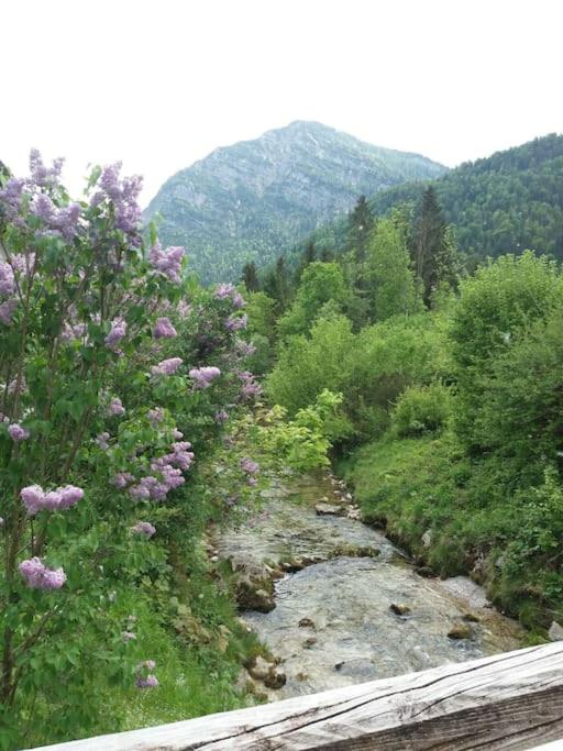 Apartment in den bayerischen Alpen, für Naturliebhaber