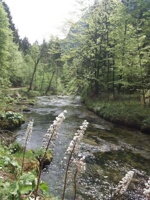 Apartment in den bayerischen Alpen, für Naturliebhaber