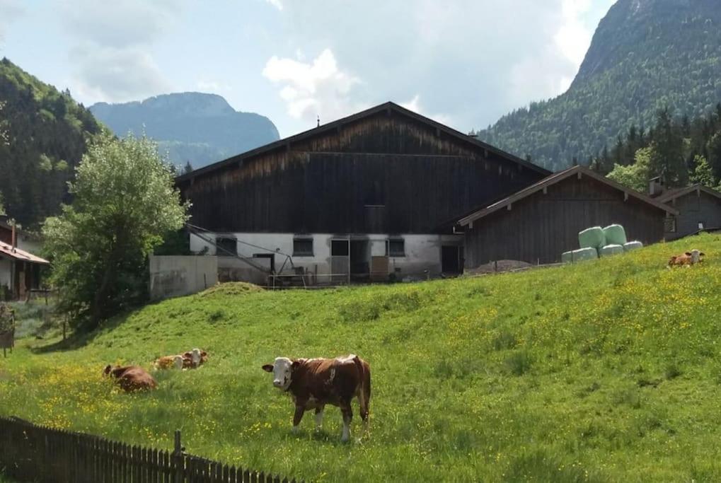 Apartment in den bayerischen Alpen, für Naturliebhaber