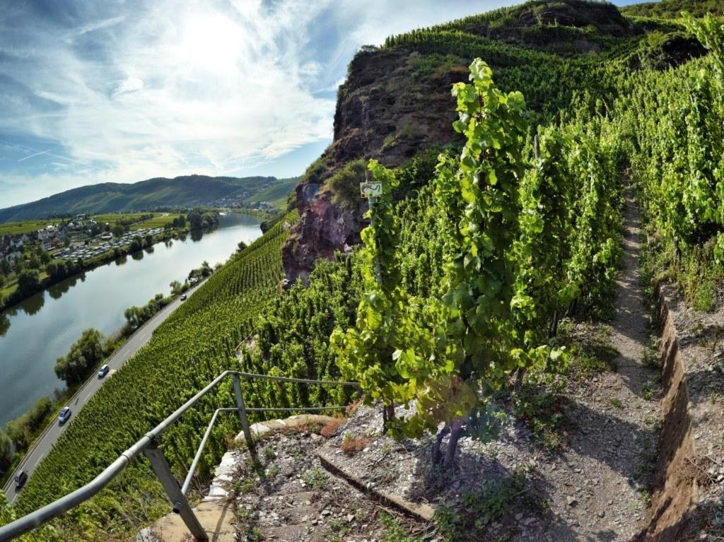 Landhauskiebel