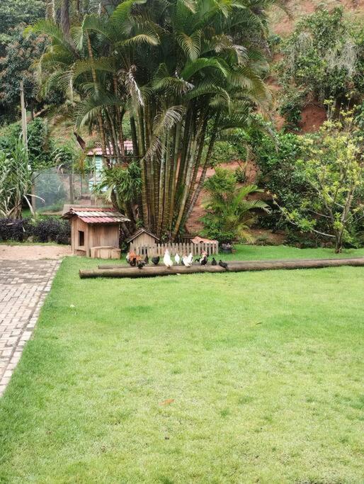 Sítio Canto da Roça Com Cachoeira