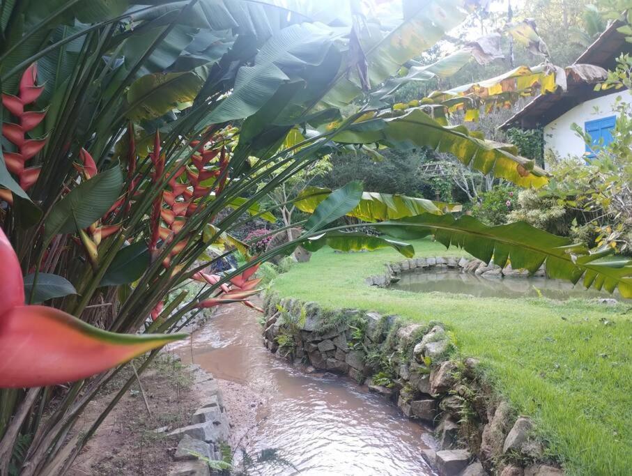 Sítio Canto da Roça Com Cachoeira