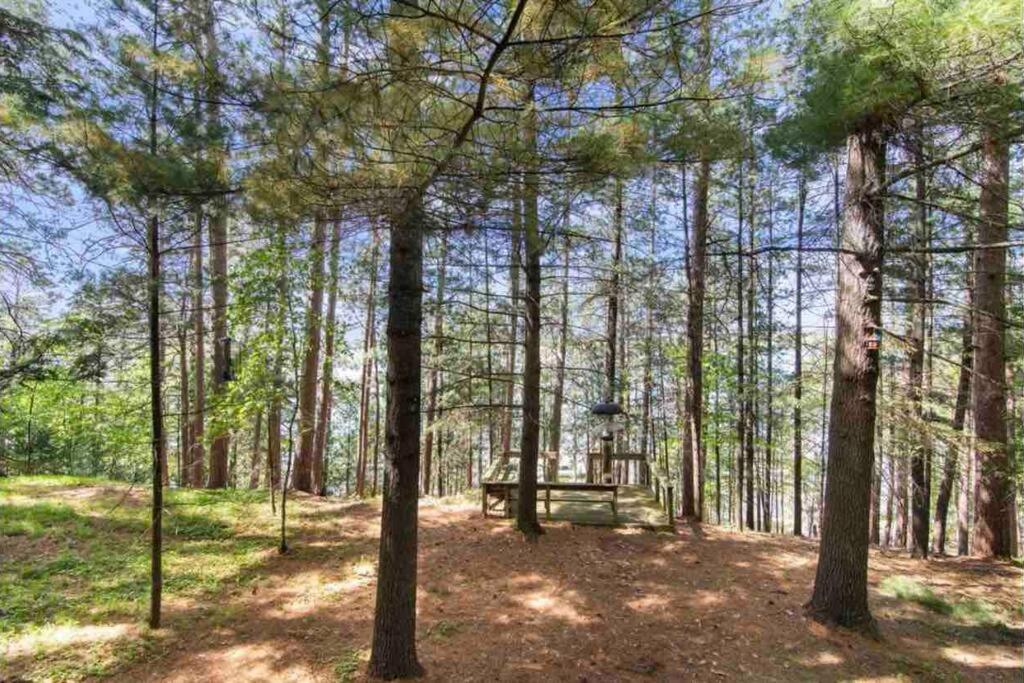 Premier Lakeside Retreat on The Whitefish Chain! view 5