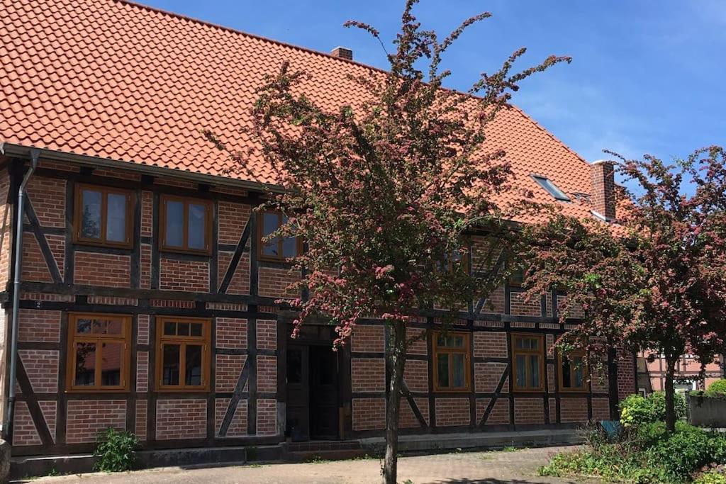 Haus der erwachenden Erde