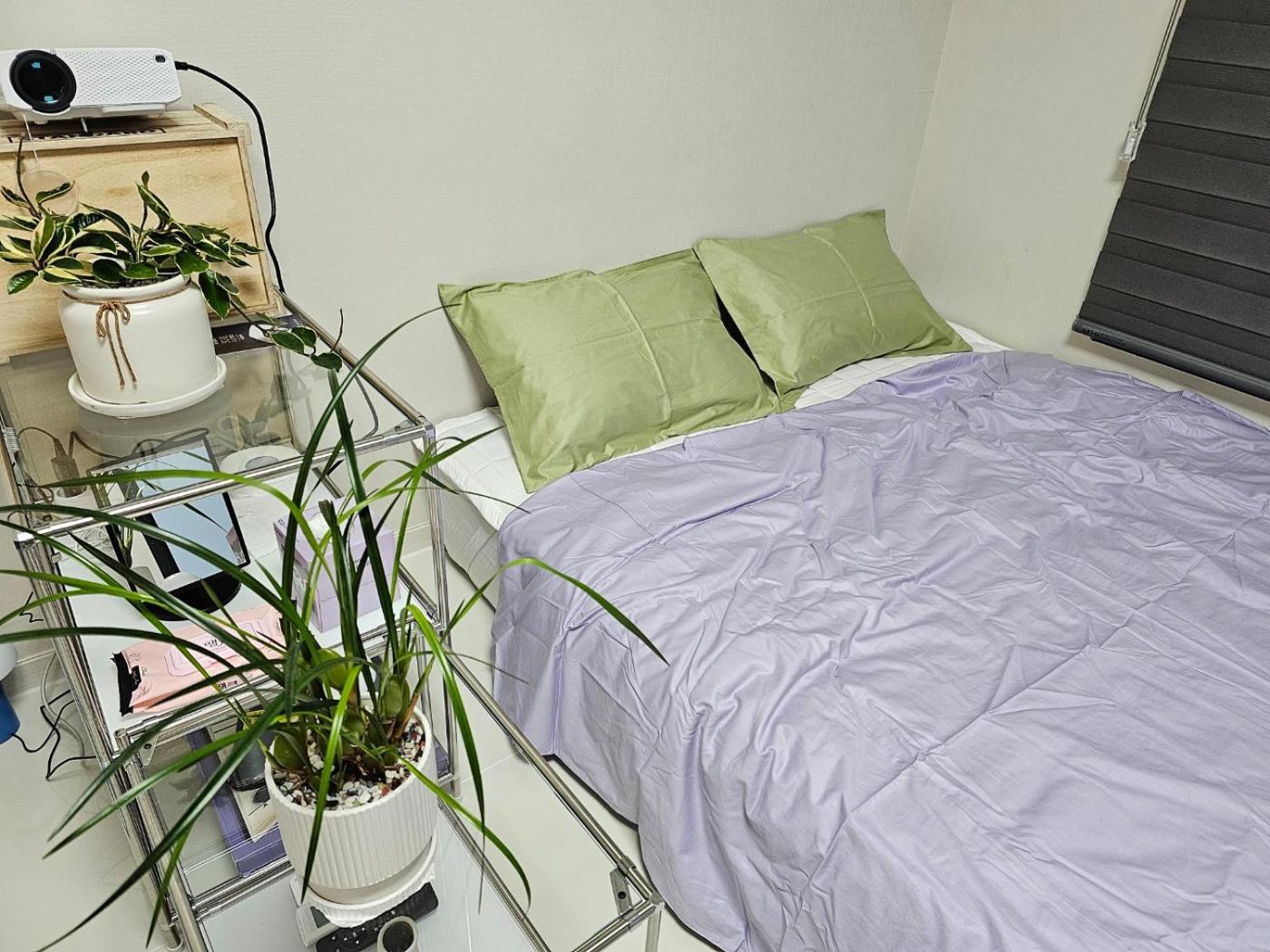 Photo 46