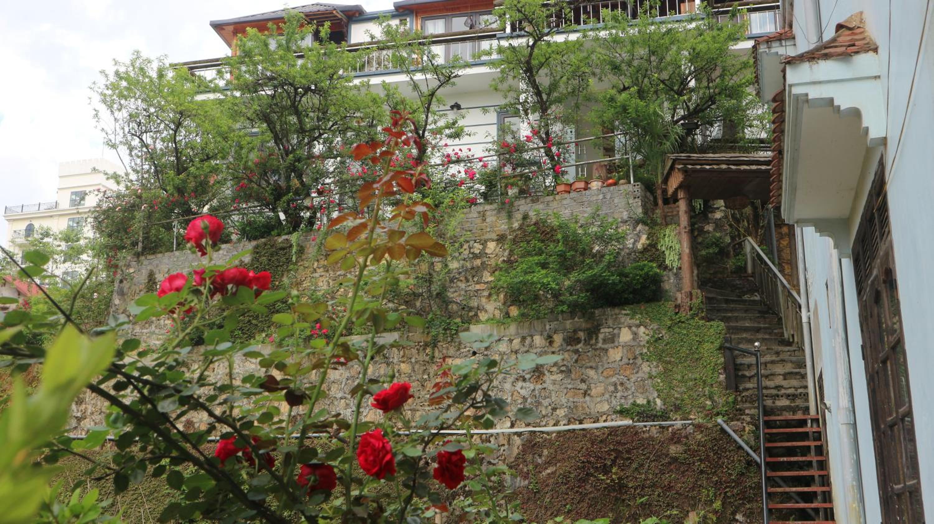 Photo 26