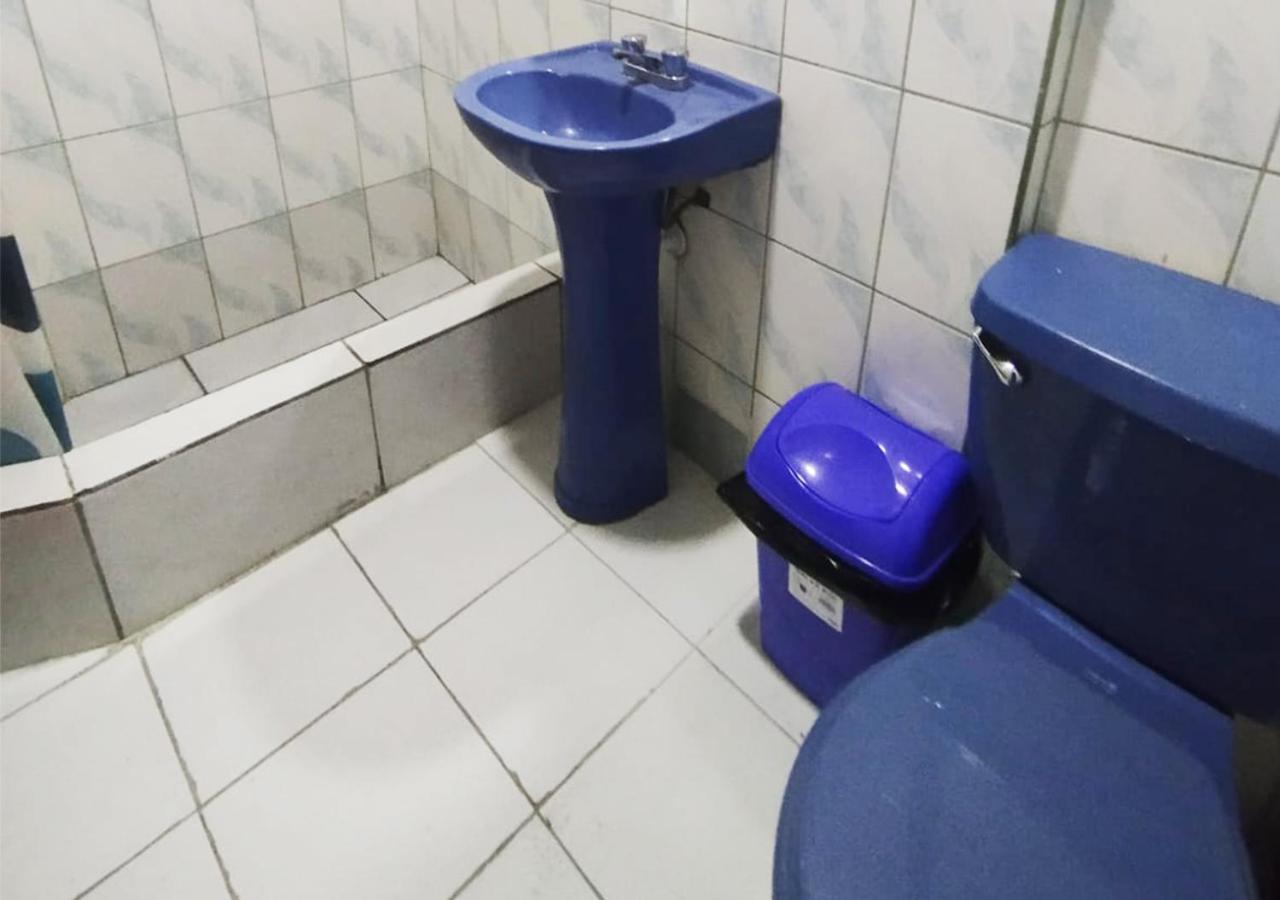 Hallpa Ica