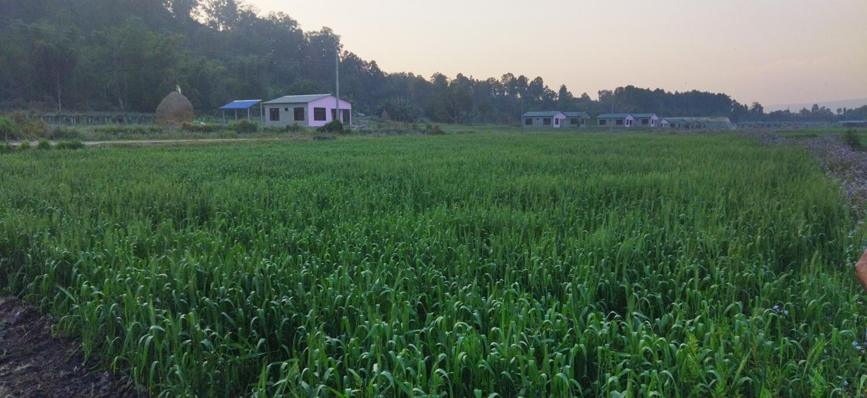 Kantipur community homestay view 3