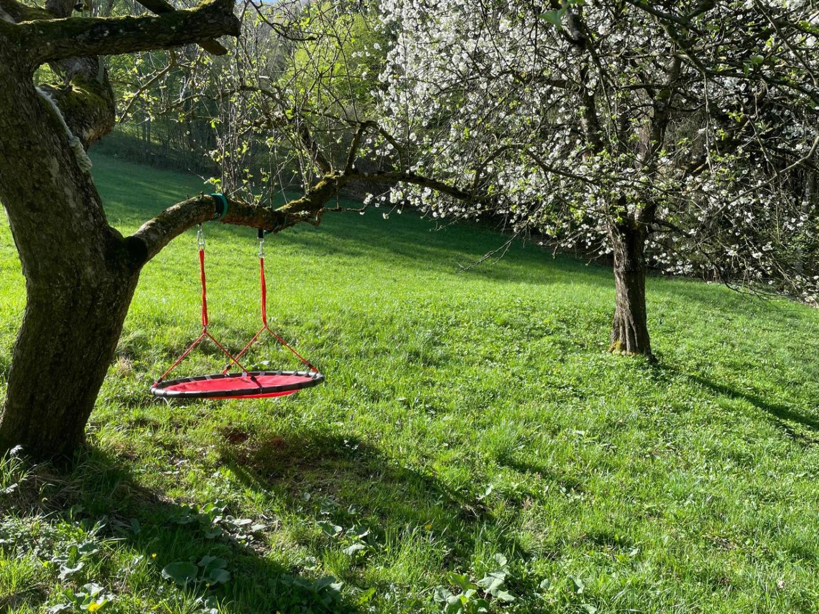 Ferienhaus Holzer Stressless