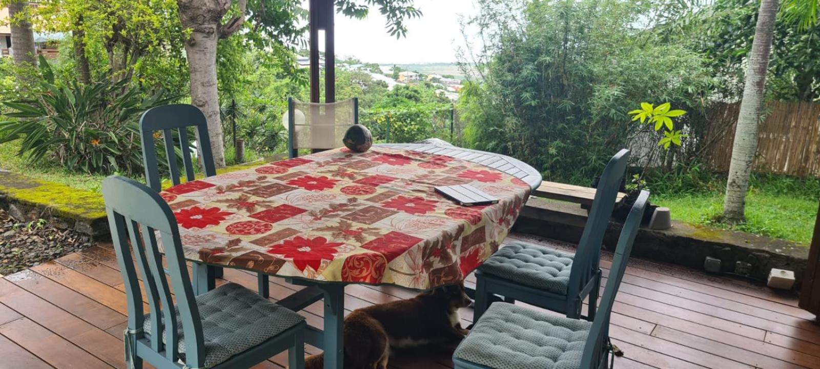 Case papangue view 5
