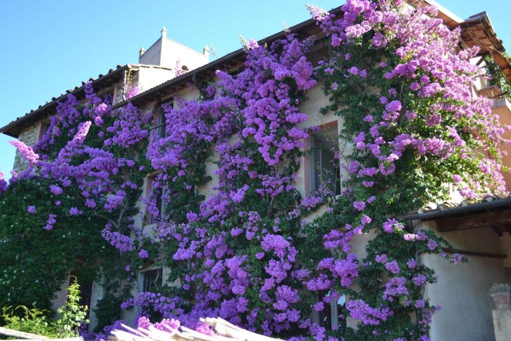 Peralta Tuscany
