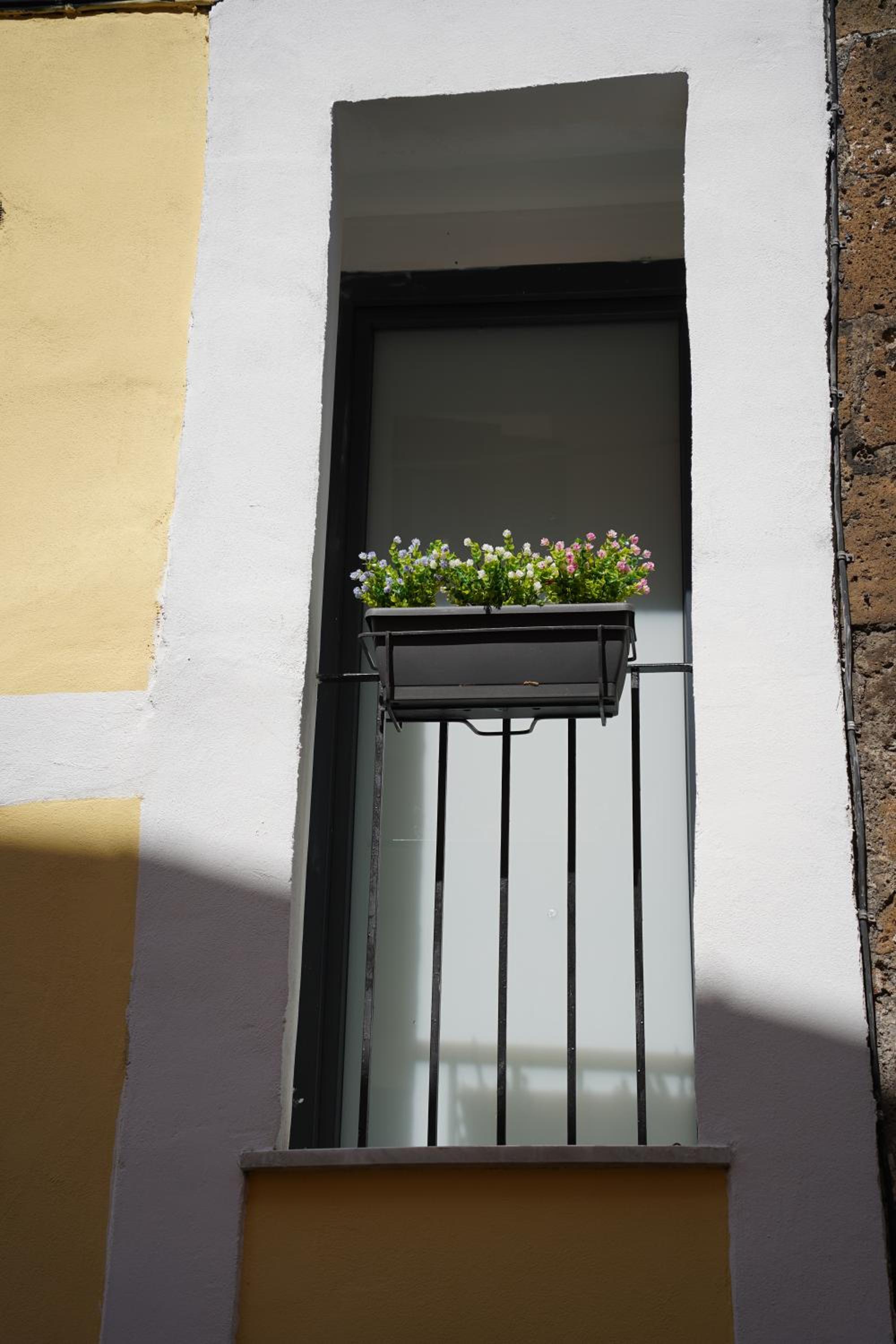 Belvedere Home