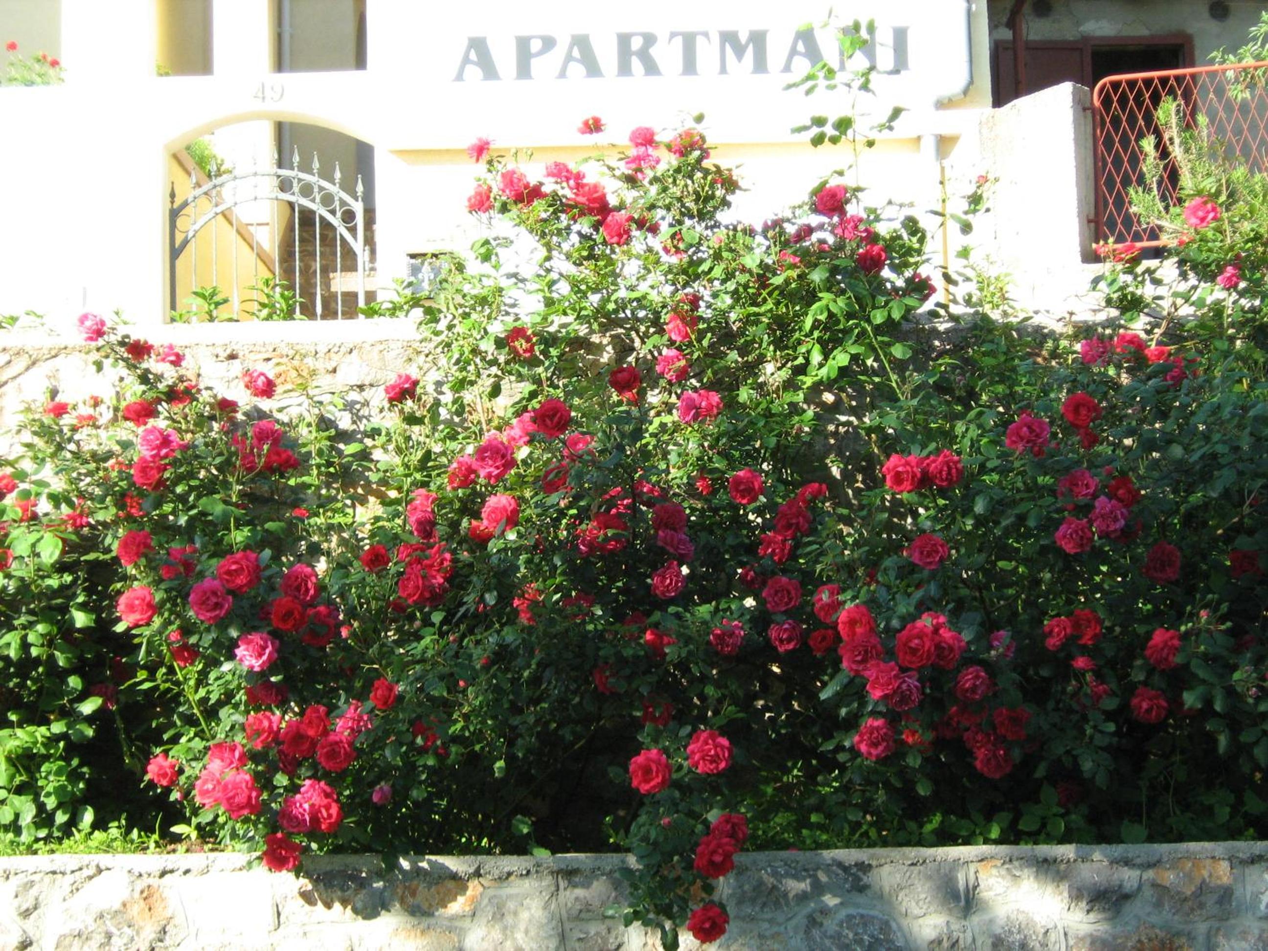 Apartments Laura